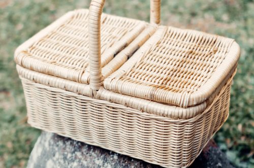 picnic basket - I Already Did