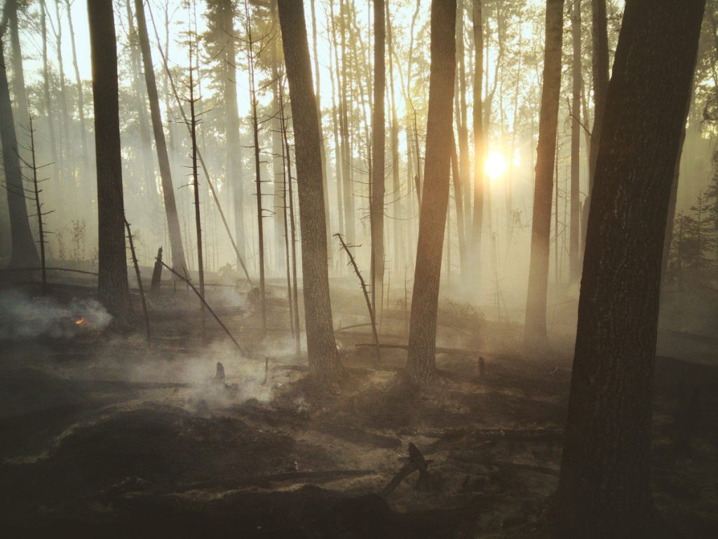 Her Voice - short story - burned forest