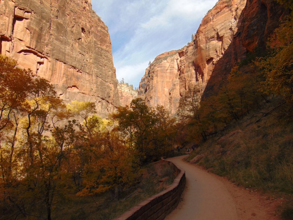 Zion National Park - November 2021 - cliffs trees trail