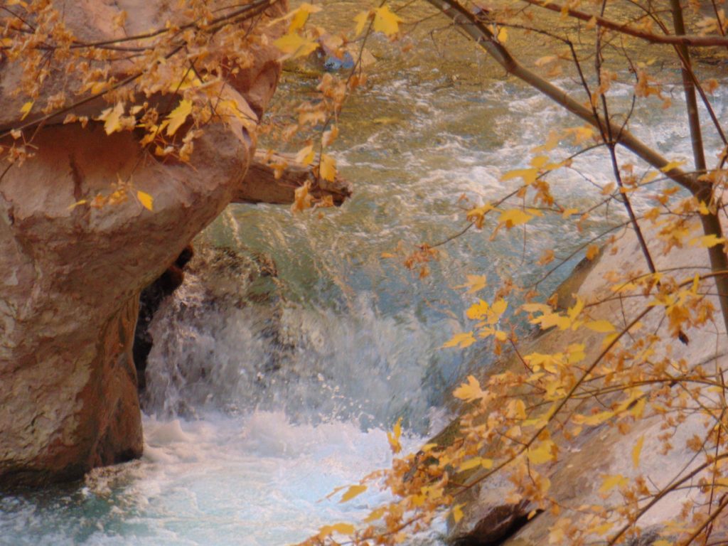 Zion National Park - November 2021 - Virgin River