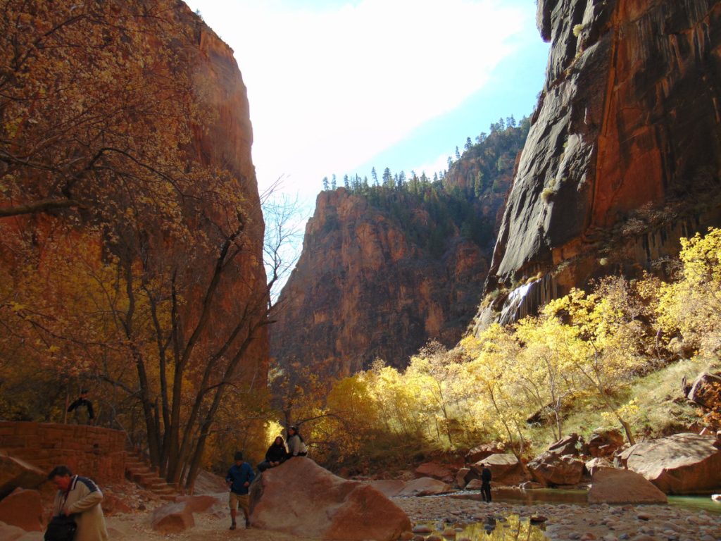 Zion National Park - November 2021 - light and shadow