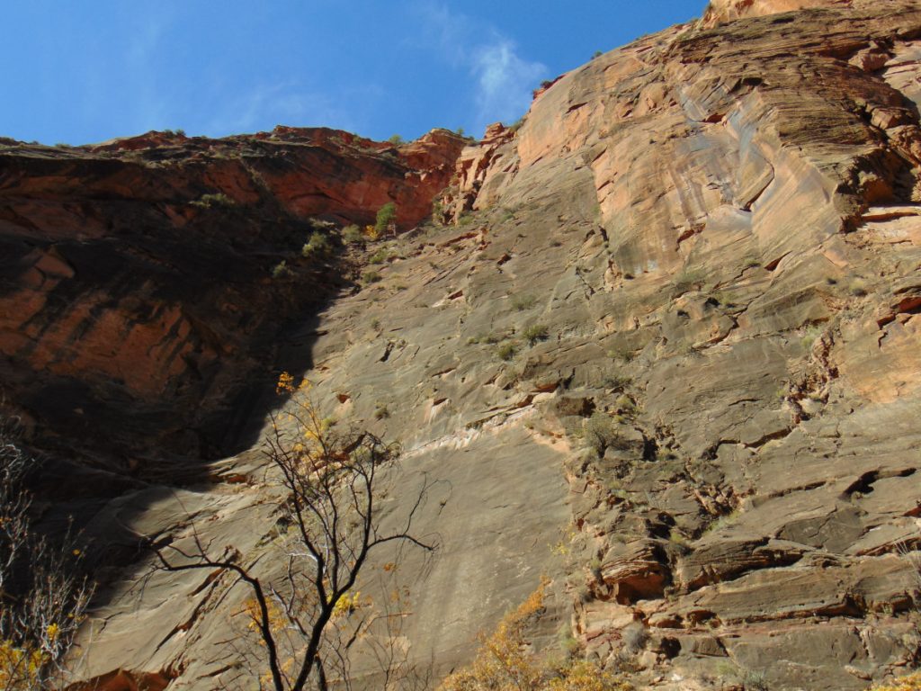 Zion National Park - November 2021 - cliffs